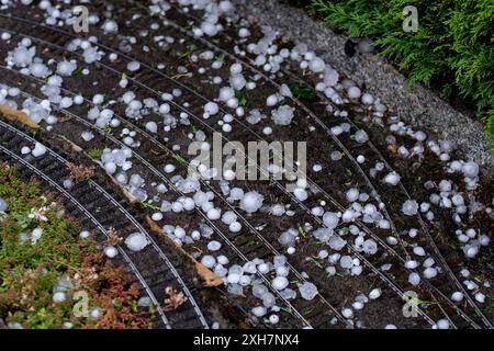 Ludwigsburg GER, Hagel in Ludwigsburg - Ossweil, Hagelkoerner in einem Garten, 12.07.2024 Hagel auf den Gleisen einer Spur 1 - Gartenbahn, GER, Hagel in Ludwigsburg - Ossweil, Hagelkoerner in einem Garten, 12.07.2024 *** Ludwigsburg GER, Hail in Ludwigsburg Ossweil, Hagelsteine in einem Garten, 12 07 2024 Hail on the Gleis of a Gauge 1 Gartenbahn, GER, Hail in Ludwigsburg Ossweil, Hagelsteine in einem Garten, 12 07 2024 Copyright: xEibner-Pressefoto/Memmlerx EP MMR Stockfoto