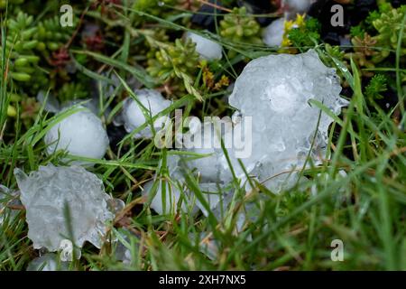 Ludwigsburg GER, Hagel in Ludwigsburg - Ossweil, Hagelkoerner in einem Garten, 12.07.2024 Hagelkorn mit Eiskristallen, GER, Hagel in Ludwigsburg - Ossweil, Hagelkoerner in einem Garten, 12.07.2024 *** Ludwigsburg GER, Hail in Ludwigsburg Ossweil, Hailstone in einem Garten, 12 07 2024 Hailstone mit Eiskristallen, GER, Hail in Ludwigsburg Ossweil, Hail in Ludwigsburg Ossweil, Hagelstein im Garten, 12 07 2024 Copyright: xEibner-Pressefoto/Memmlerx EP MMR Stockfoto