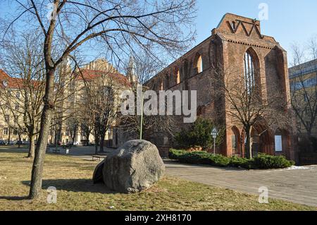 Berlin, Deutschland. Die Ruine der Franziskaner-Klosterkirche, einer Kirche im Bezirk Mitte Stockfoto