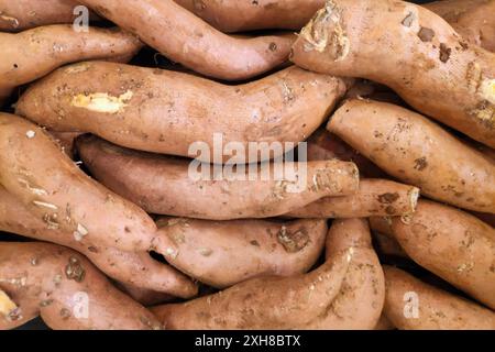 Nahaufnahme eines Stapels Süßkartoffeln zum Verkauf an einem Marktstand. Stockfoto