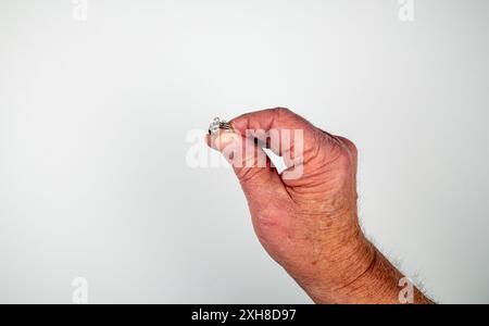 Kaukasische männliche Hand, die den Diamant-Ehering der Frauen auf weißem Hintergrund hält Stockfoto