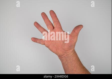 Kaukasische männliche Hand gespreizt, mit Daumen und vier Fingern getrennt, die Zahl fünf oder Hallo auf weißem Hintergrund anzeigen Stockfoto