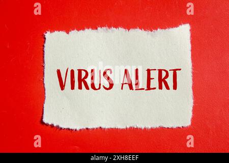 Virenwarnmeldung auf gerissenem Papierstück mit rotem Hintergrund geschrieben. Konzeptionelles Virus-Warnsymbol. Kopierbereich. Stockfoto