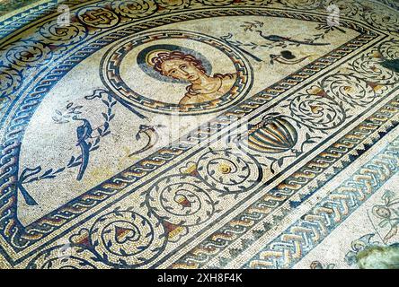 Detail der Venus und Gladiator Bodenmosaik in der römischen Villa an Bignor, West Sussex, England. Stockfoto