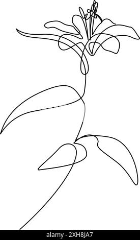 Eine durchgehende Linienzeichnung mit eleganter Lilienblüte. Blumendesign mit einer Linie. Botanische Vektorillustration mit bearbeitbarer Kontur Stock Vektor