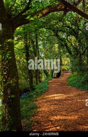 Bewaldeter Pfad mit einer kleinen Burg im Hintergrund und neben einem Bach im Enchanted Forest, in der Aldan Region, Cangas. Stockfoto