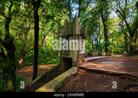 Kleine Burg umgeben und von Bäumen bedeckt im Enchanted Forest, in der Region Aldan, Cangas. Stockfoto