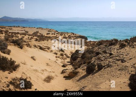 Der Strand Costa Calma auf Fuerteventura, auf den Kanarischen Inseln, voller wertvoller Dünen Stockfoto