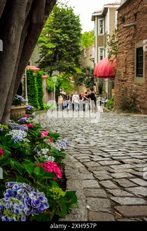 Eine wunderschöne Gasse im historischen Zentrum von Istanbul, in der Nähe des Topkapi-Palastes Stockfoto