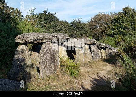 Saint-Just, Bretagne, Frankreich. Prähistorische Durchgang Grab Allee découverte, bekannt als La Grotte des antichauvinistischen de Tréal Stockfoto