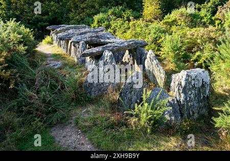 Saint-Just, Bretagne, Frankreich. Prähistorische Durchgang Grab Allee découverte, bekannt als La Grotte des antichauvinistischen de Tréal Stockfoto