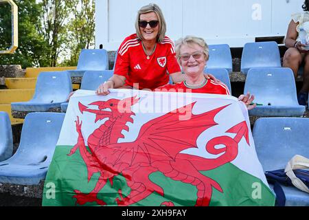 KARLOVAC, Kroatien. Juli 2024. Walisische Fans beim Qualifikationsspiel der UEFA Women's Euro 2025 in der Liga B zwischen Kroatien Frauen und walisischen Frauen im Stadion Branko Čavlović-Čavlek in Kroatien am 12. Juli 2024. (Bild von Ashley Crowden/FAW) Credit: Football Association of Wales/Alamy Live News Stockfoto