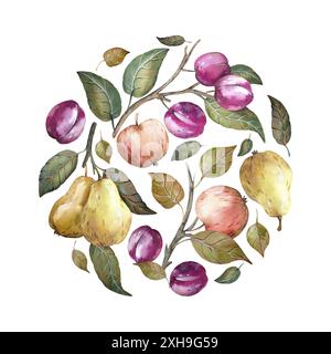 Aquarellrunde Komposition mit Herbstfrüchten isoliert auf weißem Hintergrund. Stockfoto