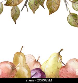 Quadratischer Rahmen mit Herbstfrüchten auf weißem Hintergrund. Stockfoto