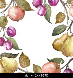 Quadratischer Rahmen mit Herbstfrüchten auf weißem Hintergrund. Stockfoto