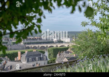 Blick auf die Altstadt von Blois in Frankreich, durch Laub an einem sonnigen Sommertag ohne Menschen Stockfoto