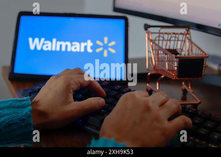 Paraguay. Juli 2024. In dieser Abbildung gibt eine Person neben dem Logo von Walmart, Inc. Ein, das auf dem Bildschirm eines Tablets angezeigt wird. (Foto von Jaque Silva/SOPA Images/SIPA USA) *** ausschließlich für redaktionelle Nachrichten *** Credit: SIPA USA/Alamy Live News Stockfoto