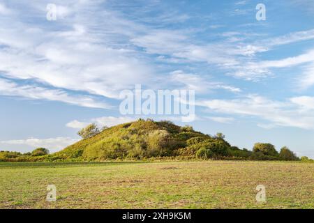 Die massive 6500 Jahre alte prähistorische Grabhügel Tumulus des Tumiac auch bekannt als Butte de Cesar. In der Nähe von Arzon, Bretagne, Frankreich Stockfoto