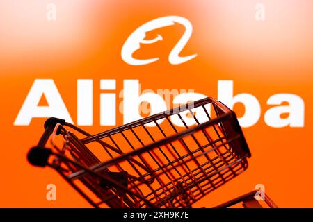 Paraguay. Juli 2024. In dieser Abbildung ist ein Warenkorb vor dem Logo des E-Commerce-Unternehmens Alibaba zu sehen. (Foto von Jaque Silva/SOPA Images/SIPA USA) *** ausschließlich für redaktionelle Nachrichten *** Credit: SIPA USA/Alamy Live News Stockfoto