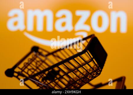 Paraguay. Juli 2024. In dieser Abbildung ist ein Warenkorb vor dem Amazon-Logo zu sehen. Das Unternehmen konzentriert sich auf E-Commerce, Cloud Computing, Streaming und künstliche Intelligenz. (Credit Image: © Jaque Silva/SOPA Images via ZUMA Press Wire) NUR REDAKTIONELLE VERWENDUNG! Nicht für kommerzielle ZWECKE! Stockfoto