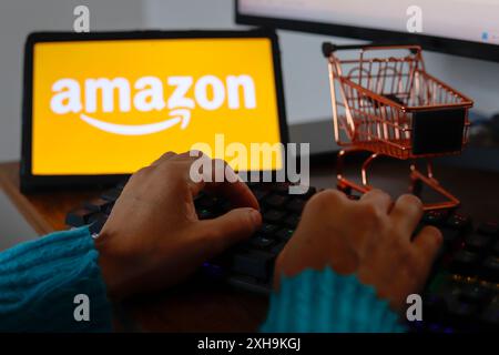 Paraguay. Juli 2024. In dieser Abbildung wird eine Person, die in der Nähe des Amazon-Logos eingibt, auf dem Bildschirm eines Tablets angezeigt. (Credit Image: © Jaque Silva/SOPA Images via ZUMA Press Wire) NUR REDAKTIONELLE VERWENDUNG! Nicht für kommerzielle ZWECKE! Stockfoto
