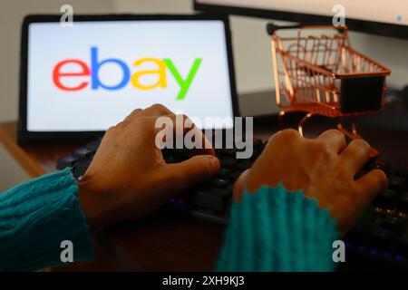 Paraguay. Juli 2024. In dieser Fotoabbildung gibt eine Person in der Nähe des eBay-Logos ein, das auf dem Bildschirm eines Tablets angezeigt wird. (Credit Image: © Jaque Silva/SOPA Images via ZUMA Press Wire) NUR REDAKTIONELLE VERWENDUNG! Nicht für kommerzielle ZWECKE! Stockfoto