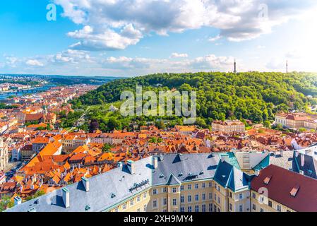 Eine lebendige Szene, die die üppigen Gärten des Petrin-Hügels mit der historischen Prager Architektur im Vordergrund unter einem klaren blauen Himmel einfängt. Prag, Tschechien Stockfoto