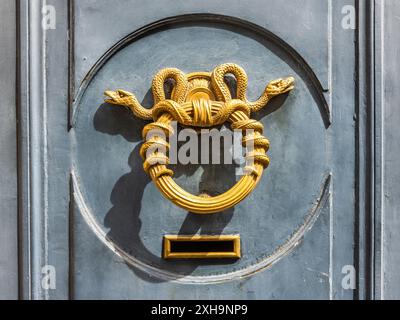 Kunstvoller Türklopfer aus Messing von zwei verschränkten Schlangen, Paris 75006, Frankreich. Stockfoto