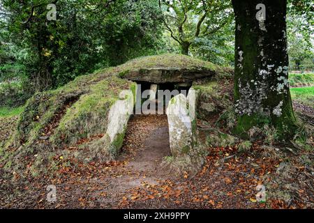 Ty Ar Boudiquet prähistorischen Dolmen gekammert Grab Cairn in Brennilis Dorf, Bretagne, Frankreich. Auch bekannt als La Maison des Fées Stockfoto