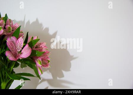 Rosafarbene Kirschblüten in Glasvase, Frühlingsinnenblumen, Kopierraum Stockfoto