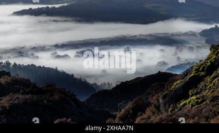 Bäume ragen aus dem Nebel einer atemberaubenden Wolkenumkehr hervor, die von Holme Fell aufgenommen wurde und in Richtung Coniston im Lake District blicken Stockfoto