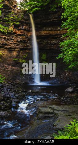 Ein Foto des harten Wasserfalls der RAW Force in den atemberaubenden Yorkshire dales Großbritanniens. Stockfoto