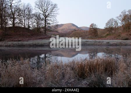 Ein ruhiger, nebeliger, frostiger Morgen auf dem Fluss Breathy Stockfoto