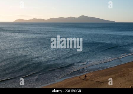 Paekakariki Beach und Kapiti Island, Kapiti, Neuseeland Stockfoto