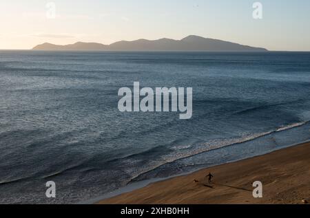 Paekakariki Beach und Kapiti Island, Kapiti, Neuseeland Stockfoto