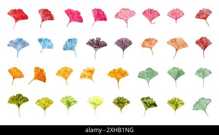 Bunte Blattdrucke. Gingko, Biloba-Blätter. Fall Biloba Set. Ginkgo, Palme, trockene abstrakte Blätter. Tropische exotische Pflanze. Stockfoto