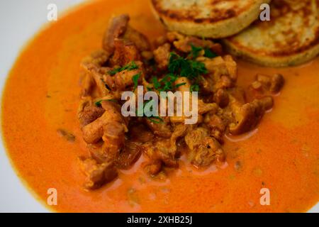 Pfifferling Goulash oder Eierschwammerlgulasch mit gebratenen Brotklößen Stockfoto