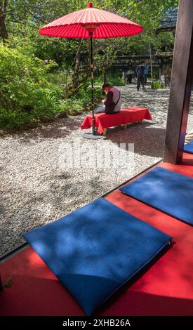 Ein Spaziergang durch die Samurai Street in Kakunodate: Erleben Sie die lebendige Geschichte und die ruhige Schönheit eines hellen, sonnigen Frühlingstages inmitten von Kirschblüten und Stockfoto