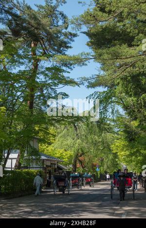 Ein Spaziergang durch die Samurai Street in Kakunodate: Erleben Sie die lebendige Geschichte und die ruhige Schönheit eines hellen, sonnigen Frühlingstages inmitten von Kirschblüten und Stockfoto