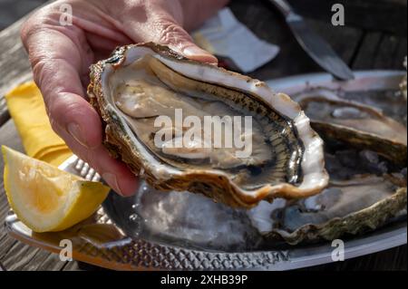 Essen von frischen lebenden Austern mit Zitrone und Brot im Farmcafé im Austerndorf Arcachon bassin, Gujan-Mestras Hafen, Bordeaux, Fran Stockfoto