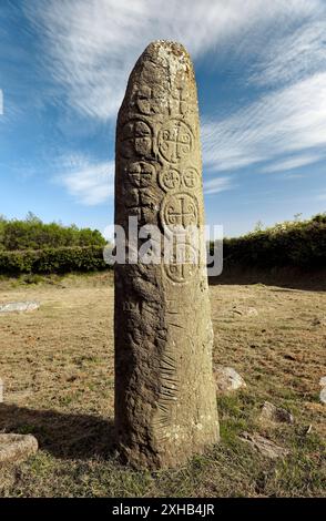 Kilnasaggart Säule Stein in den frühen keltischen christlichen klösterlichen Standort in der Nähe von Jonesboro, County Armagh, Nordirland, Vereinigtes Königreich Stockfoto