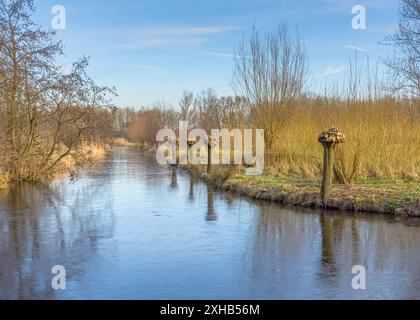 Gefrorener See in der Winterlandschaft. Ein wunderschöner ruhiger Wintermorgen im Nieuwkoopse Plassen, Niederlande Stockfoto