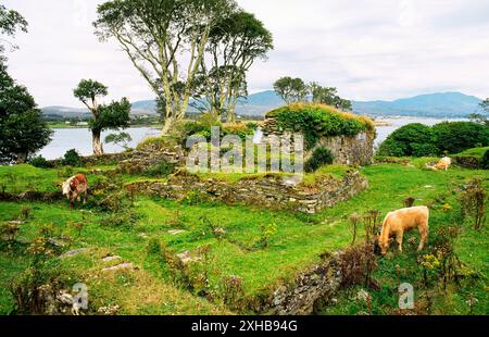 Dunboy Burgruine auf der Südseite der Beara Halbinsel, County Cork, Irland. Hochburg der gälischen Clan-Leader O'Sullivan Bere Stockfoto