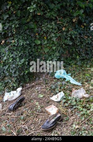 Rotfuchs, Vulpes vulpes, Eingang in einem mit Efeu bedeckten Gartenzaun mit Essensresten, Müll und abgeflachten Schuhen vor dem Eingang, London, Großbritannien Stockfoto