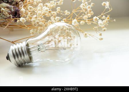 Eine Glühlampe liegt neben getrockneten Blumen am Fenster des Hauses, Strom und Licht in der Wohnung Stockfoto