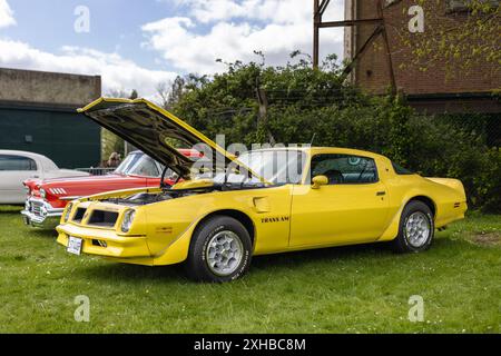 Firebird Trans am, ausgestellt am April Scramble im Bicester Heritage Centre am 21. April 2024. Stockfoto