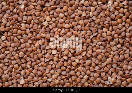 Buchweizen-Textur. Buchweizen-Grütze natürliche Textur oder Hintergrund, Nahaufnahme, hohe Auflösung. Stockfoto