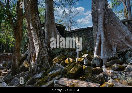 Angkor Wat Complex, Siem Reap, Kambodscha. Gegründet von König Jayavarman VII Stockfoto