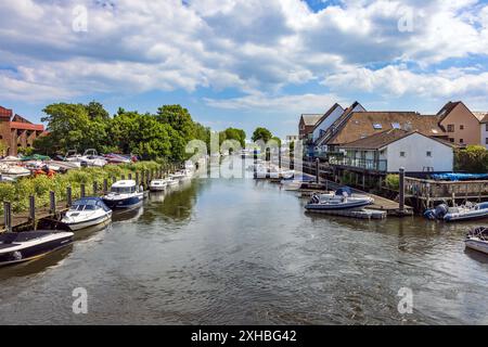 River Avon in Christchurch, Dorset, England, Großbritannien Stockfoto