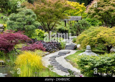 Japanischer Garten in Kingston Lacy, einem Landhaus und Anwesen in Dorset, England. Stockfoto